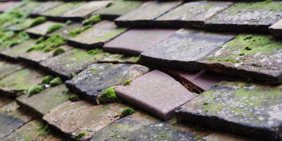 Crews Hole roof repair costs